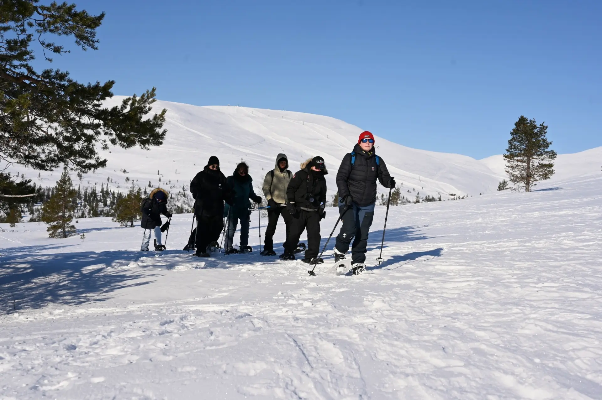 Snowshoeing in national park
